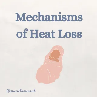 Mechanisms of Heat Loss