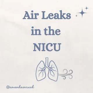 Air Leaks in the NICU