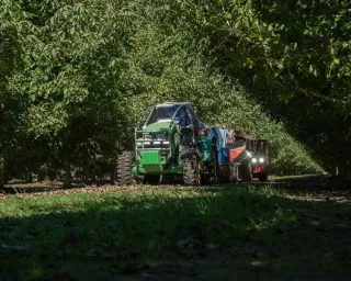 Professional Orchard Removal Service in Durham, CA