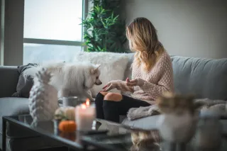 Introducing a pet sitter to your reactive dog