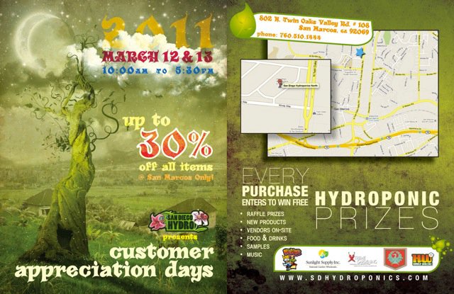 Print Still Matters Designing Work Meant to Be Held, Flipped Through, and Remembered