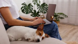 5 Mistakes to Avoid When Starting a Home-Based Passion Business