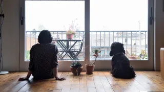 Your Dog Knows When You’re Miserable at Work: Why It’s Time to Listen