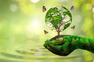 Mindful Living for a Greener Planet: Start With These 5 Simple Shifts
