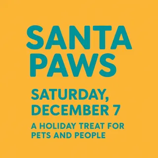 Santa Paws