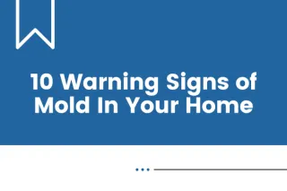 10 Warning Signs of Mold In Your Home