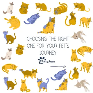 Choosing the Right One for Your Pet's Journey