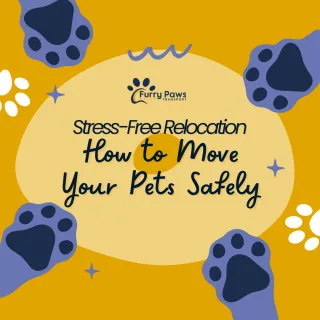 How to Move Your Pets Safely