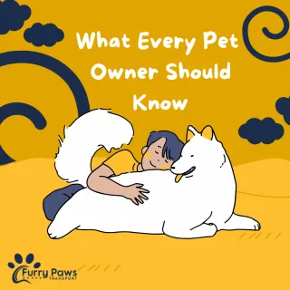 What Every Pet Owner Should Know