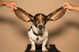 Listening Is Not the Same as Agreeing