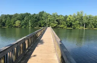 🚴‍♀️ Pedal Your Way Through Adventure at Percy Priest Reservoir Bike Trails in Tennessee