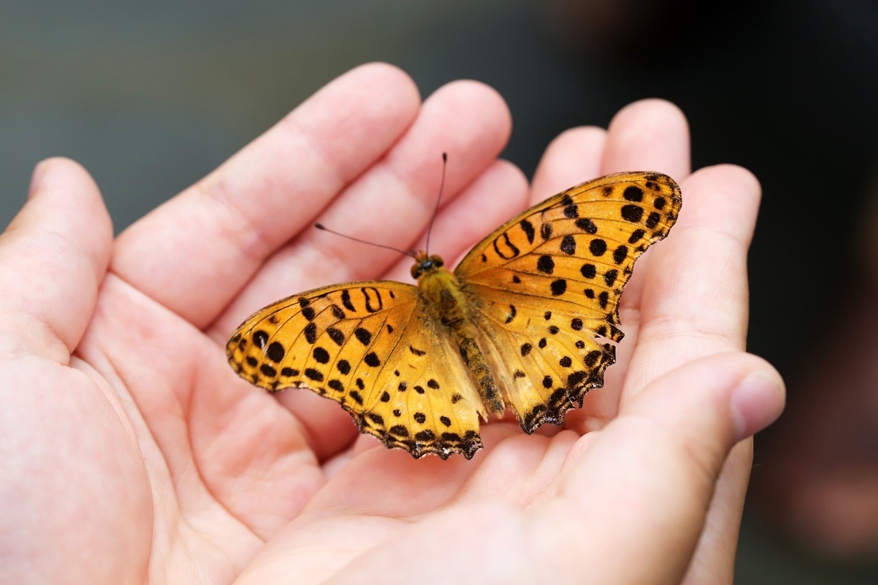 How You M Powered Transforms Potential