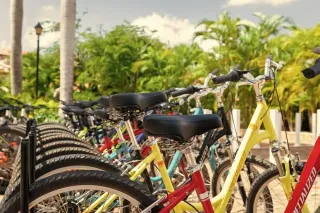 Find the Best Bicycle Rental Near Me for Fun Rides