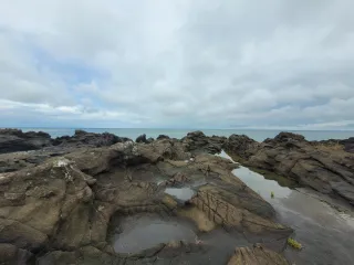 Take it all in