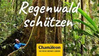 Nachhaltigkeit bei Chamäleon