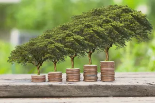 Compounding - Deceptively Simple, Incredibly Powerful