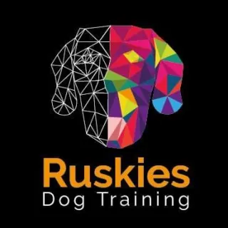 Why Dog Training Is About More Than Commands