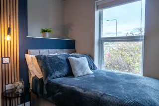 What Are HMO Standards?