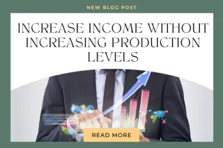 Increase income without increasing production level
