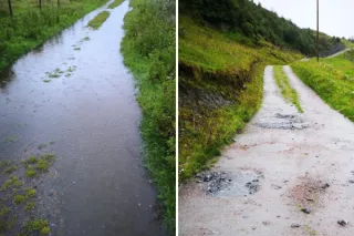 Manage for an Effective Water Cycle