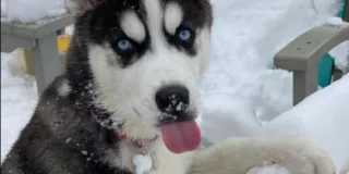 Indiana Winters & Fun Updates