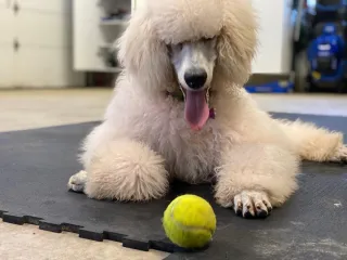 Lemonade out of Lemons