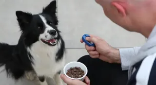 December Newsletter: The Benefits of Clicker Training