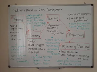 Wild Clarity Wisdom – How Teams Develop and How You As A Leader Can Support!