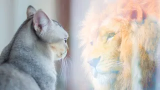 The biggest thing I've learned about self-trust in the last year!