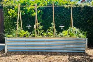 Setting Up Your Spring Garden