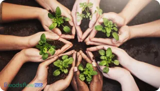 Nurture Sequences that Actually Nurture – The Art of Slow Marketing