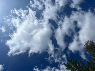Do you make time to do nothing?