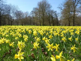 Embracing the Vernal Equinox: A Time to Awaken and Align