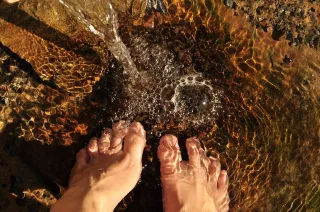 What the Water Knows: A Ritual For Balance in Heated Times