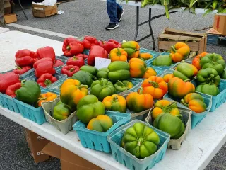 🥕 Fresh Finds & Local Flavors at Bowie Farmers Market – Bowie, MD