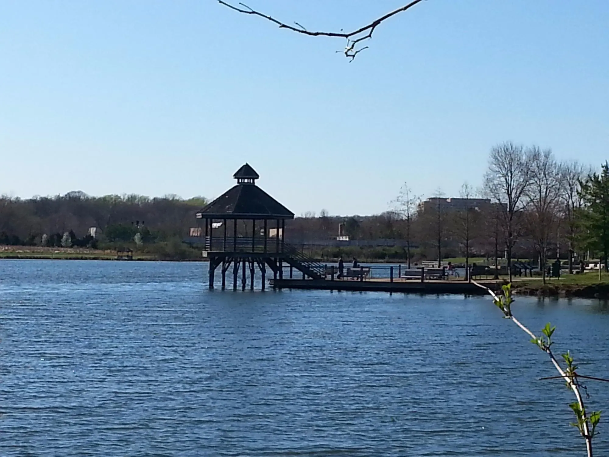 🌿 Allen Pond Trail: A Local Favorite for Relaxing Walks and Outdoor Fun — Allen Pond Park, Bowie, MD