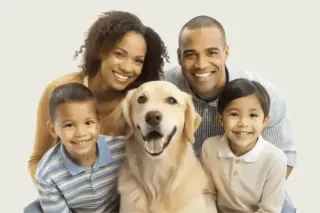 Is Mold Removal Safe?