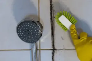 Black Mold in Shower