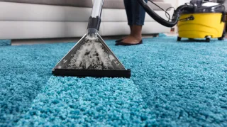 Before You Replace That Carpet: Mildura's Most Experienced Cleaner Reveals Which 'Ruined' Carpets Can Actually Be Saved