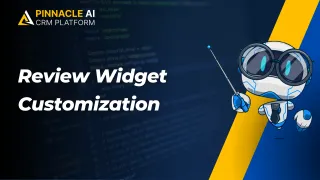 New Feature: Review Widget Customization