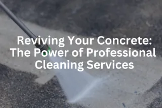 Reviving Your Concrete: The Power of Professional Cleaning Services