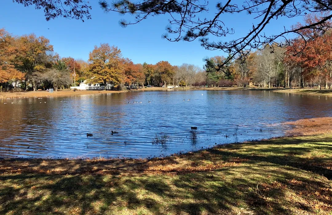 🌳Saddle River County Park: Your Go-To Spot for Outdoor Fun in Saddle Brook 
