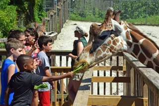 🦁Go Wild at Elmwood Park Zoo – The Perfect Day Trip from Saddle Brook!