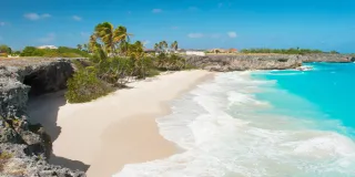 Discover Barbados: Caribbean Paradise Awaits