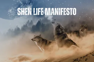 Shen Life Manifesto