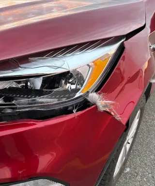 What Impacts Collision Repair Cost?