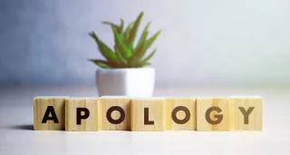 Apology Essay