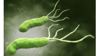 H. PYLORI: EXPLORING THE COMPLEXITIES OF THE GUT'S UNSEEN INVADER