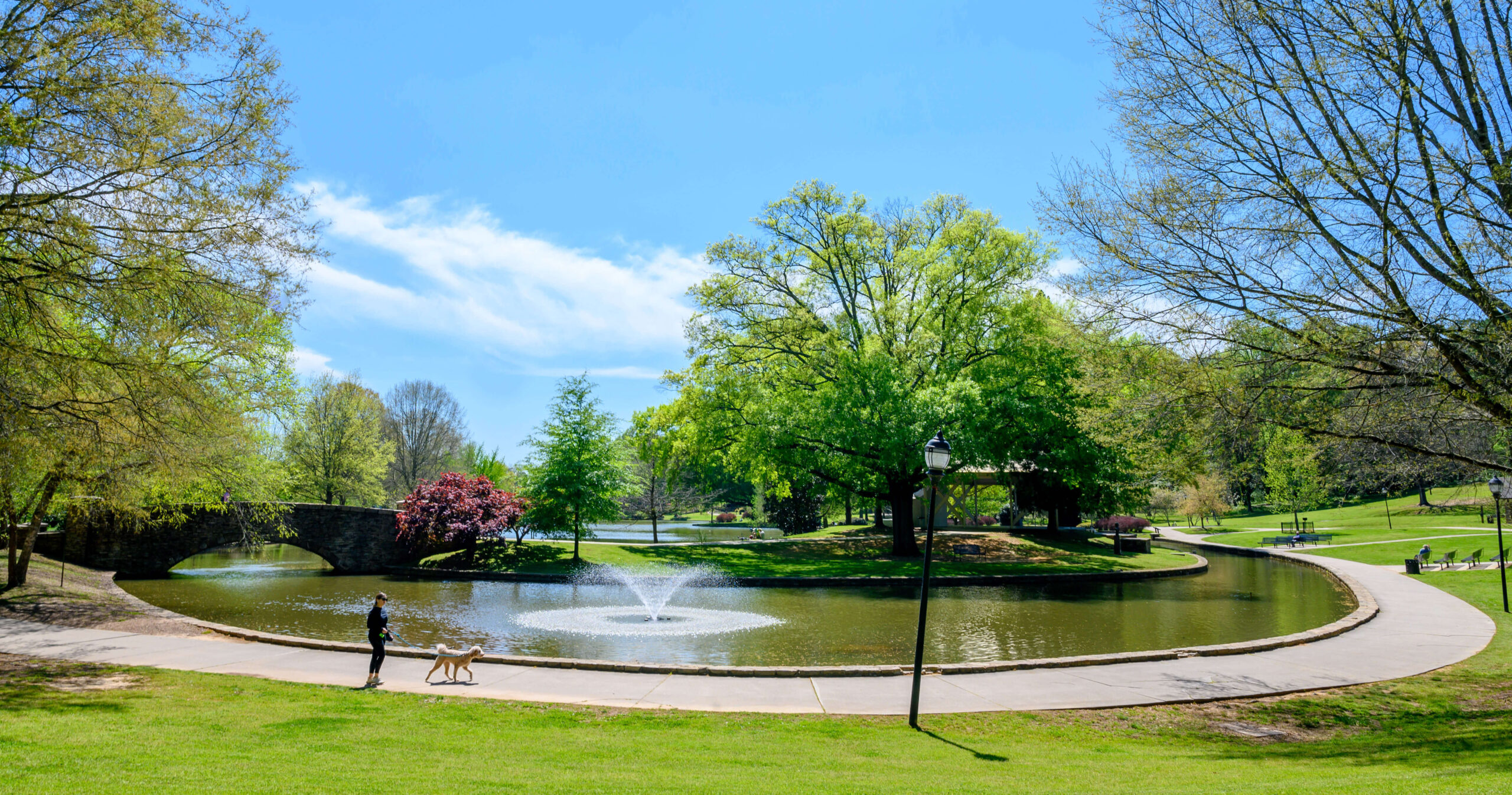 🌳 Exploring Charlotte’s Best Parks and Outdoor Spots by Car | Steff Motors, Charlotte, NC