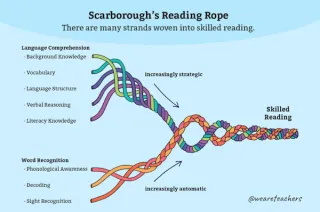 The Ability to Read is Unnatural